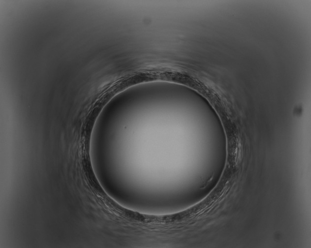 X0000097960965200804011654