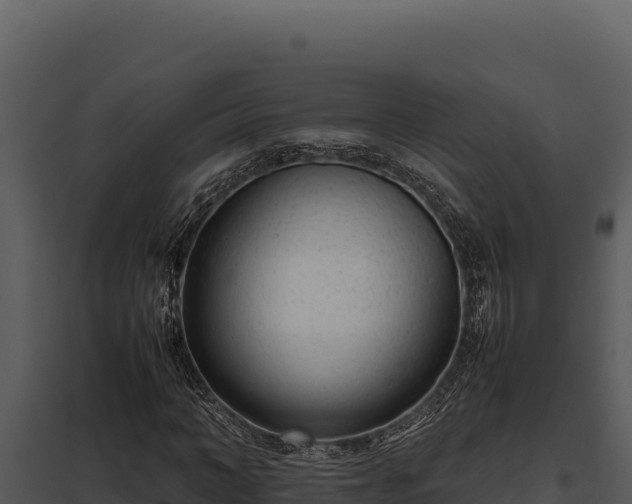 X0000097960966200804011654
