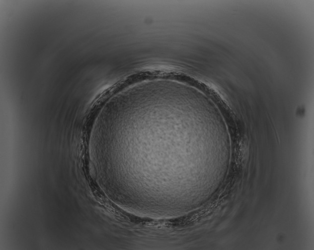 X0000097960967200804011654