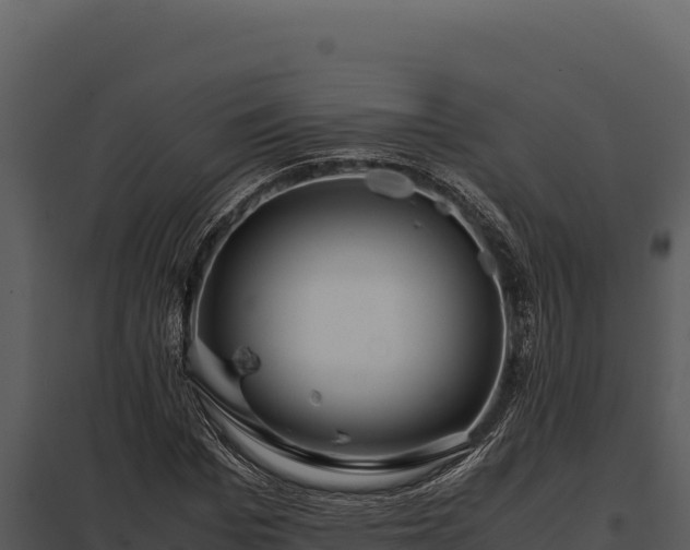 X0000097960969200804011654