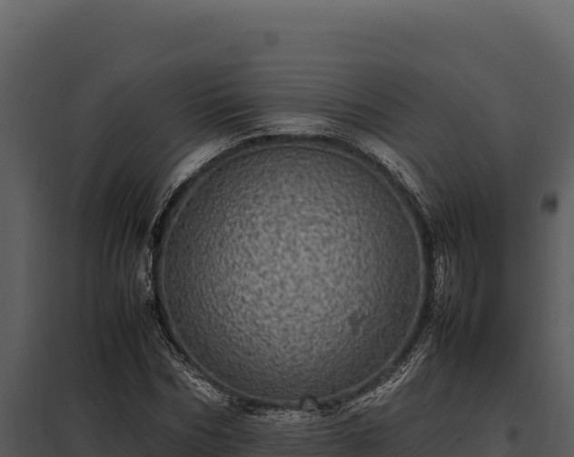 X0000097960970200804011654