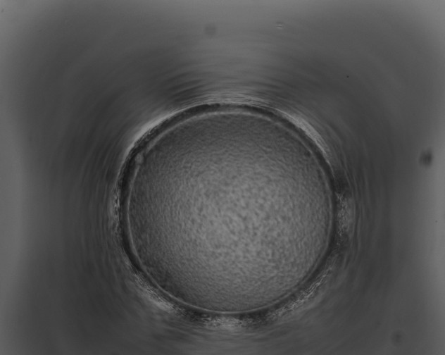 X0000097960971200804011654