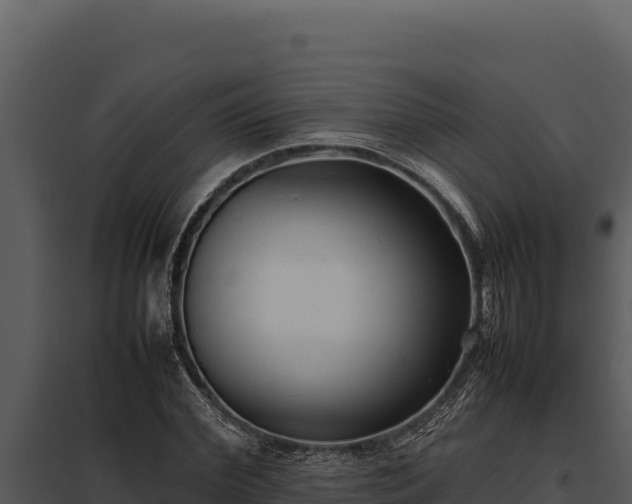X0000097960972200804011654