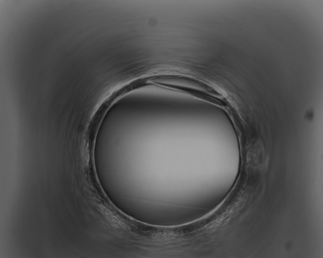 X0000097960973200804011654