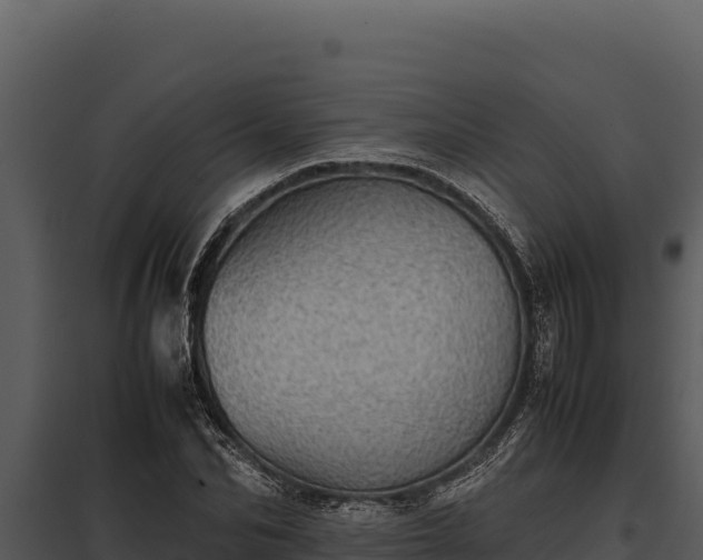 X0000097960974200804011654