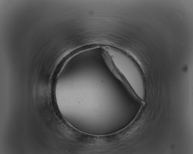 X0000097960975200804011654