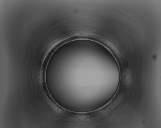 X0000097960976200804011654