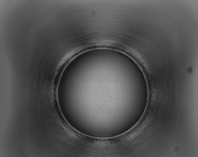 X0000097960978200804011654