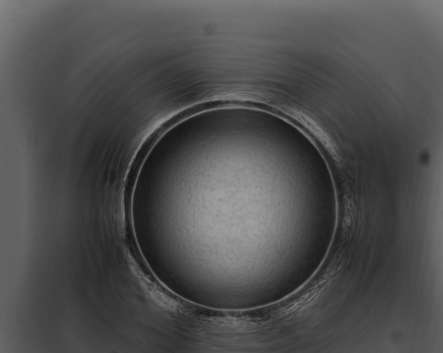 X0000097960980200804011654