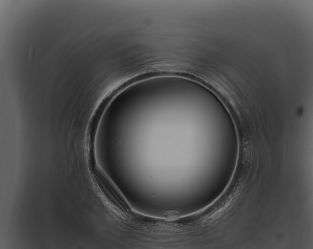 X0000097960981200804011654