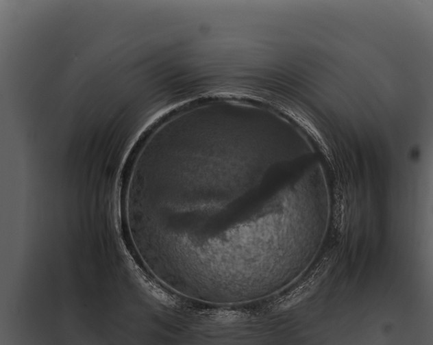 X0000097960984200804011654