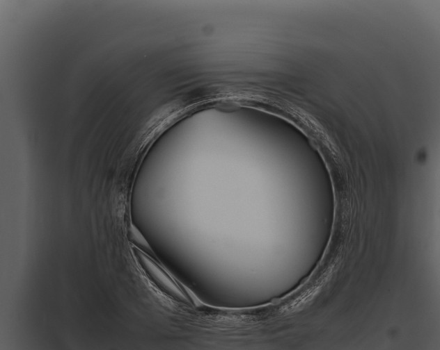 X0000097960985200804011654