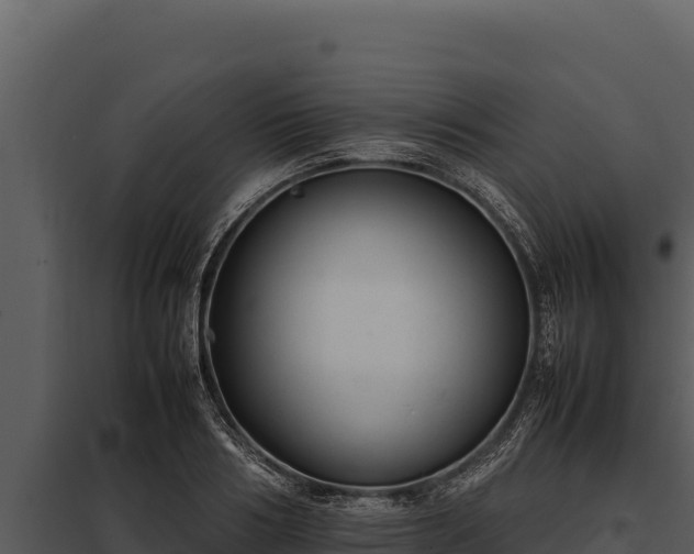 X0000097960986200804011654