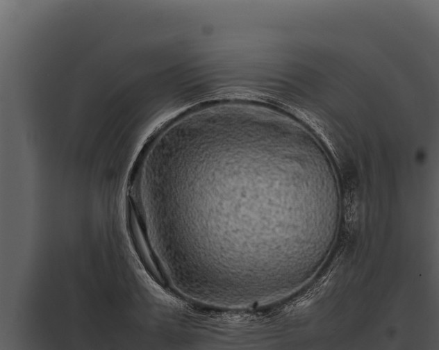 X0000097960987200804011654