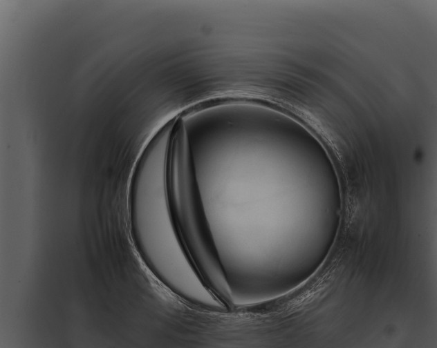 X0000097960988200804011654