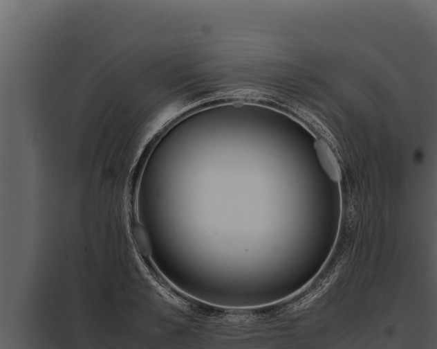 X0000097960989200804011654