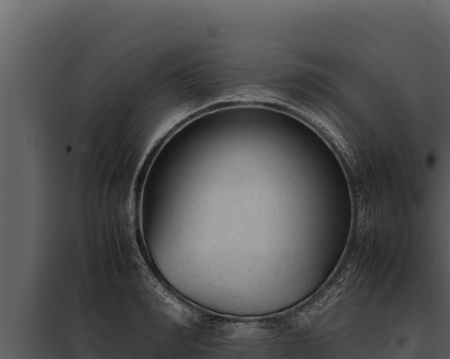X0000097960990200804011654