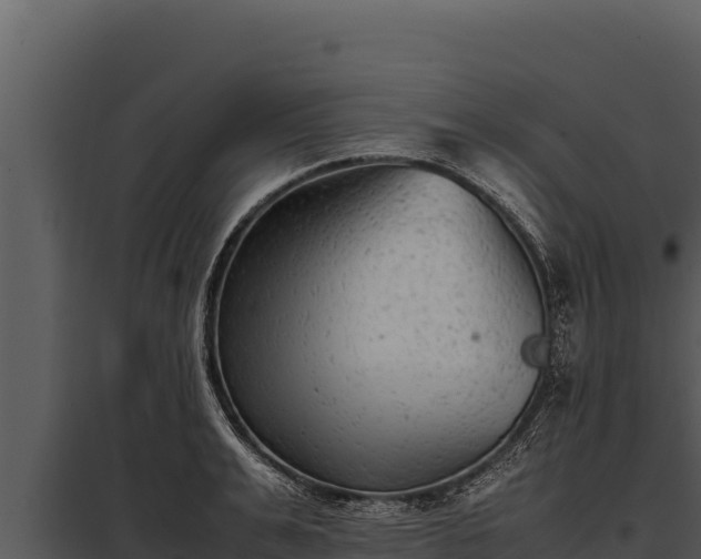 X0000097960991200804011654