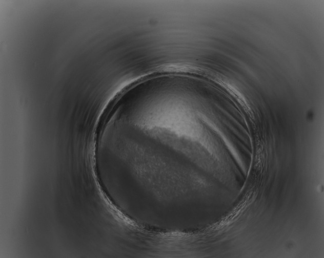 X0000097960992200804011654