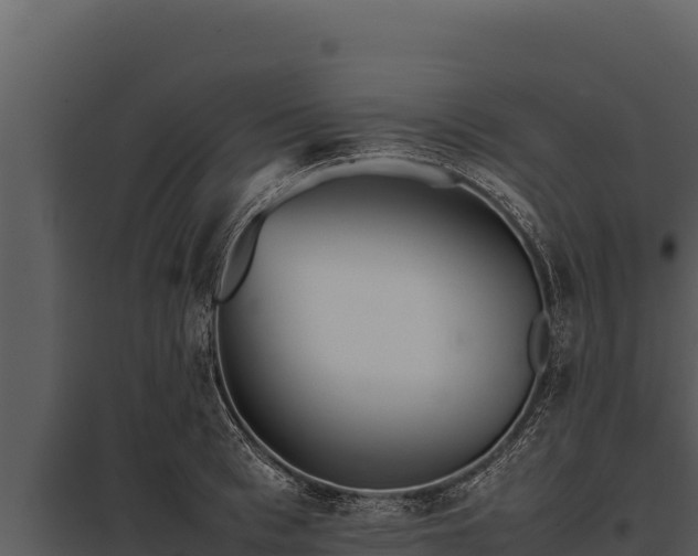 X0000097960993200804011654