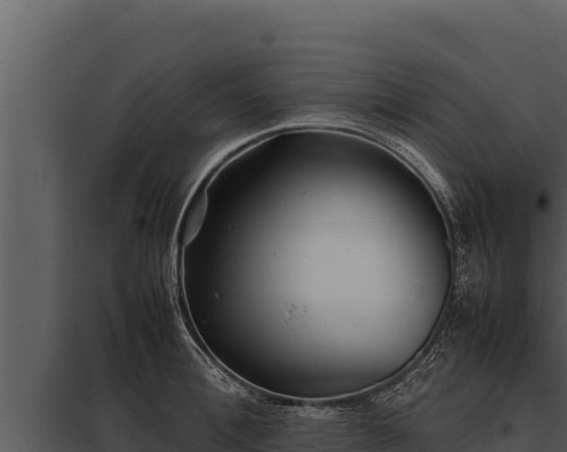 X0000097960996200804011654