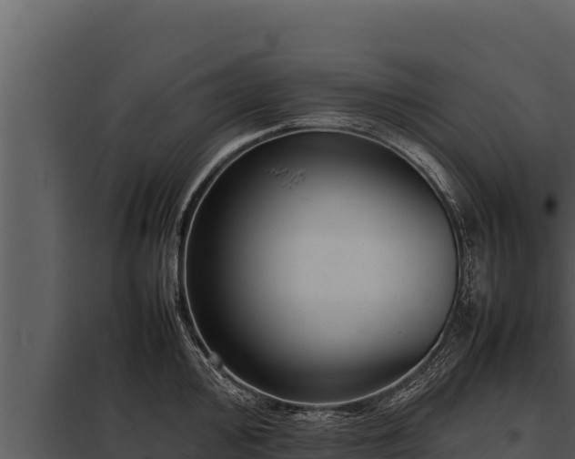X0000097961000200804011654