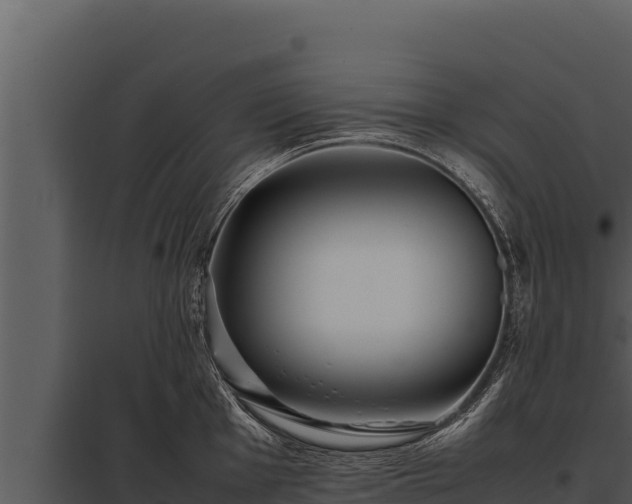 X0000097961001200804011654