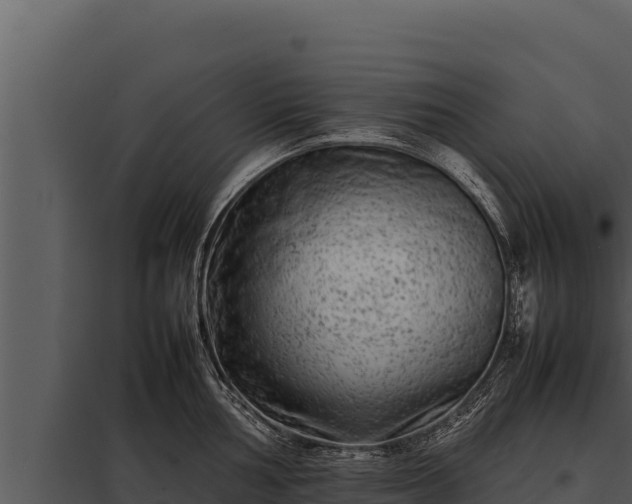 X0000097961002200804011654
