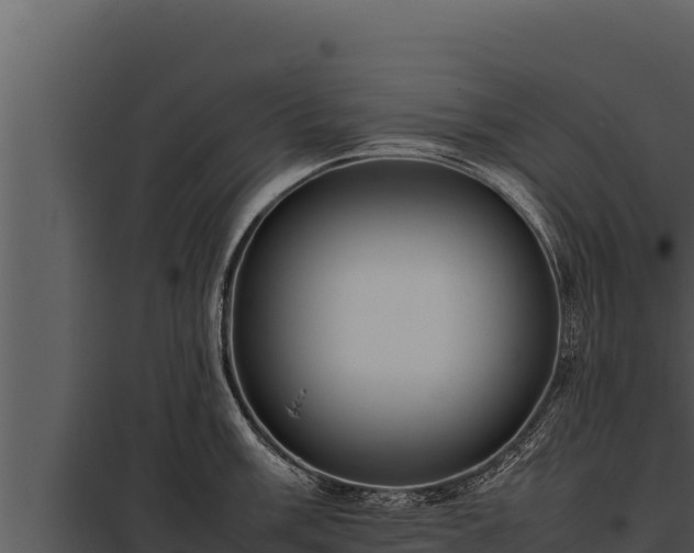 X0000097961003200804011654