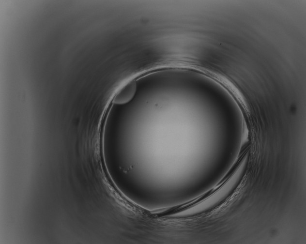 X0000097961004200804011654