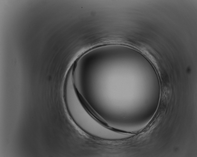 X0000097961005200804011654