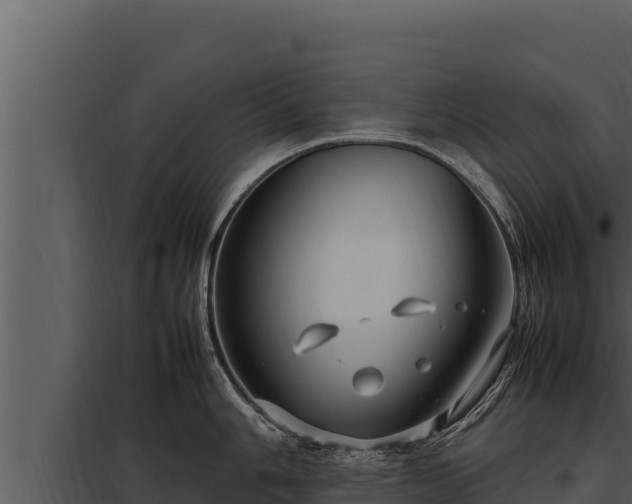 X0000097961006200804011654