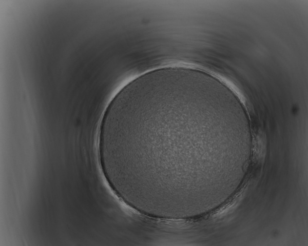 X0000097961007200804011654