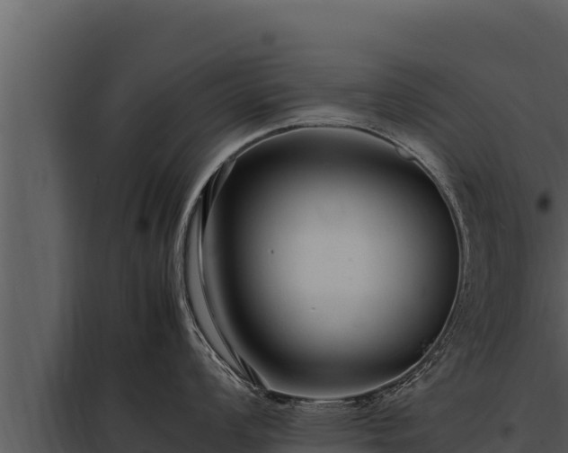 X0000097961008200804011654