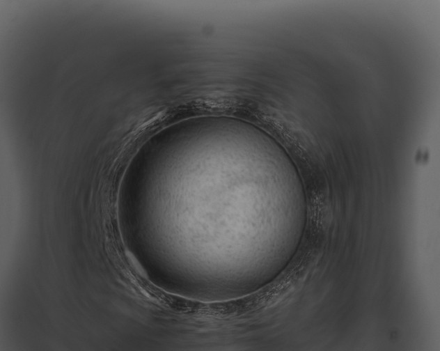 X0000097961009200804011653