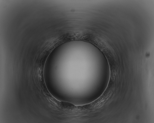 X0000097961010200804011653