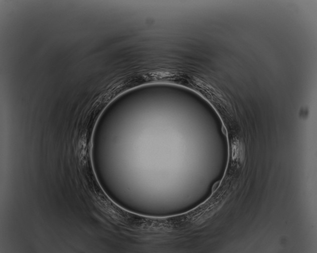 X0000097961011200804011653