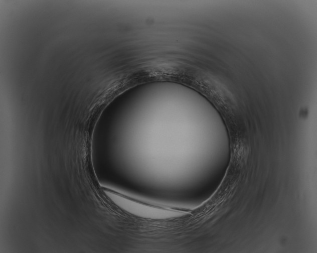 X0000097961012200804011653