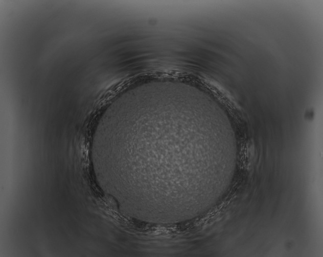 X0000097961013200804011653