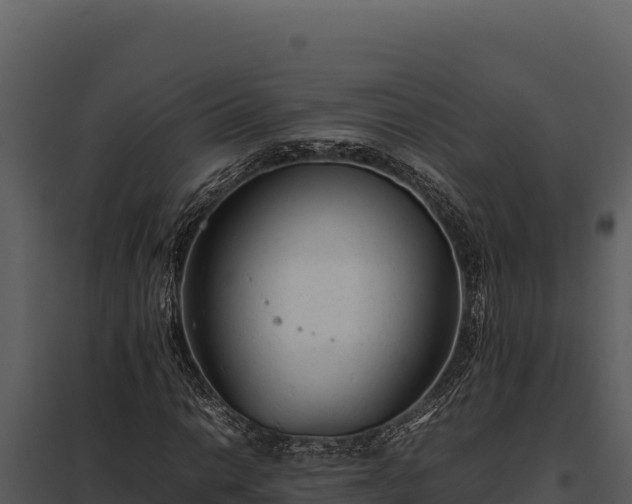 X0000097961014200804011653