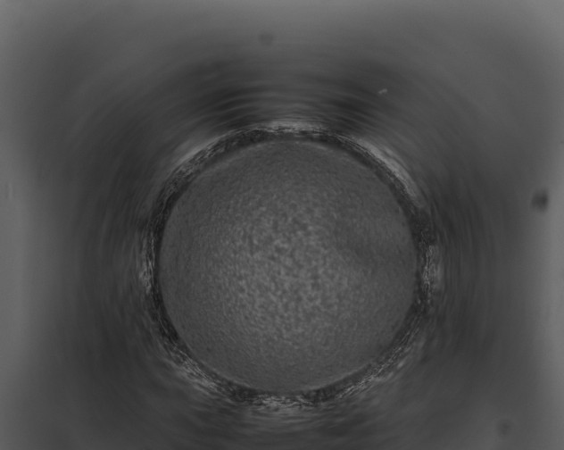 X0000097961015200804011653
