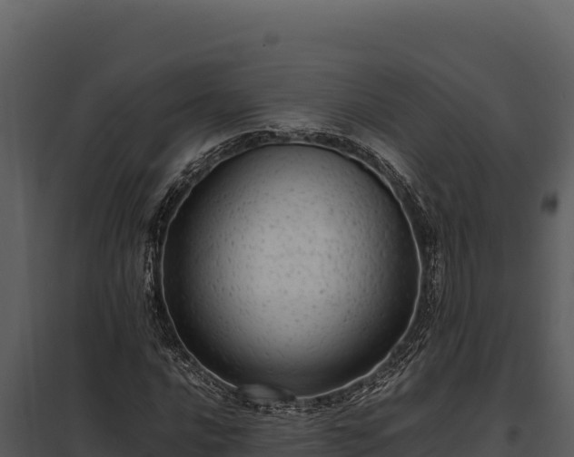 X0000097961016200804011653