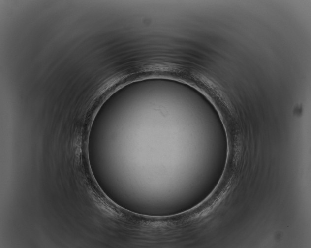 X0000097961017200804011653