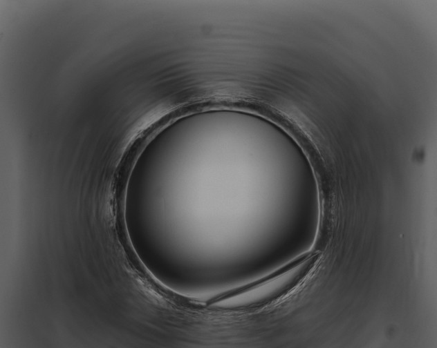 X0000097961018200804011653