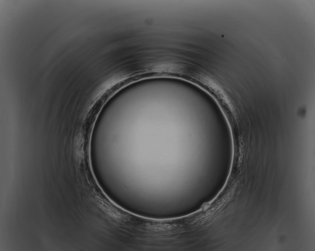 X0000097961019200804011653