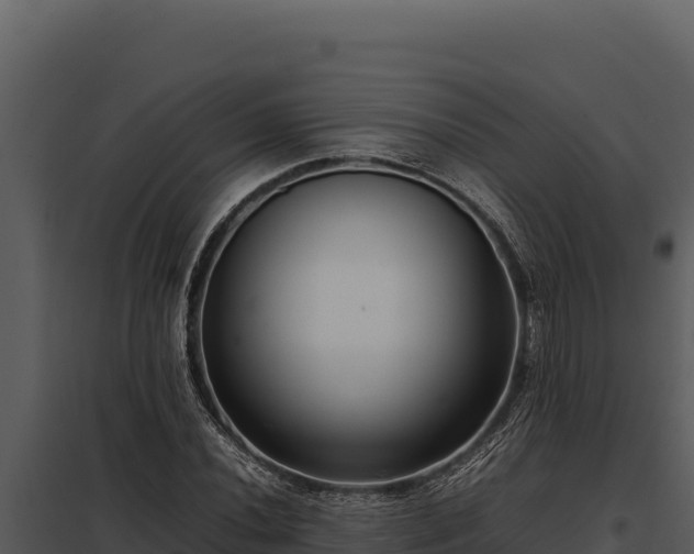 X0000097961020200804011653