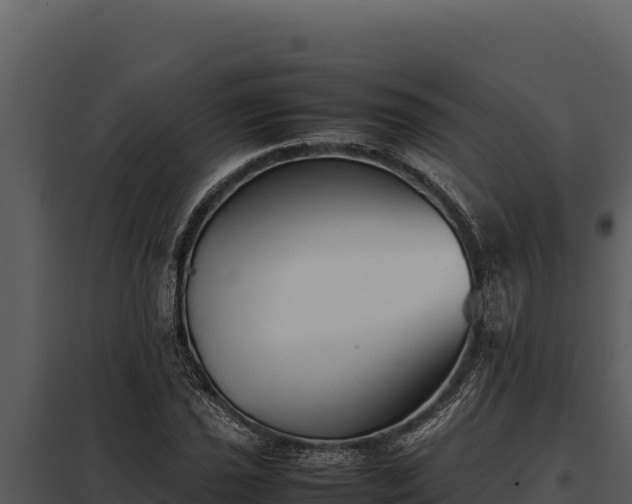 X0000097961021200804011653