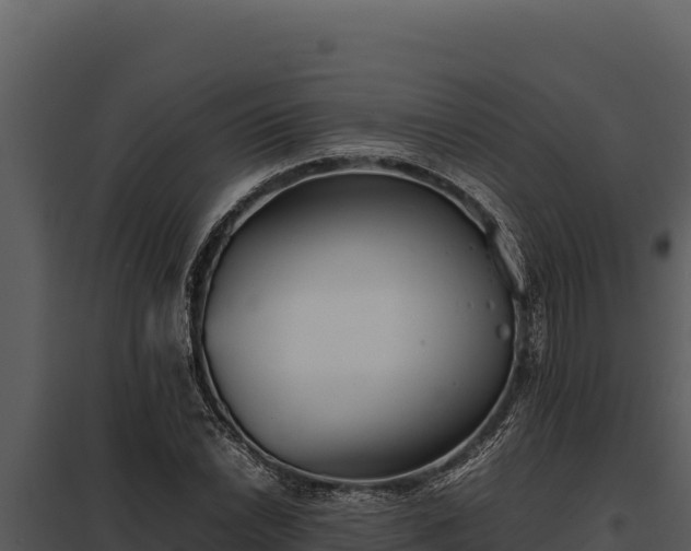 X0000097961022200804011653