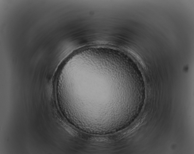 X0000097961023200804011653