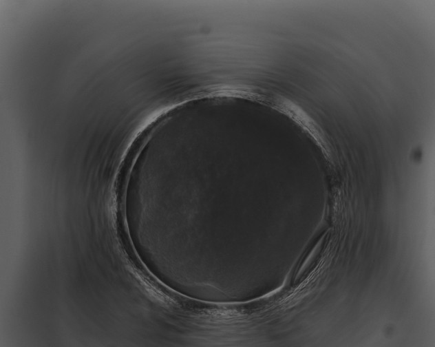 X0000097961024200804011653